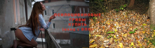 соль курить ск Алексеевка